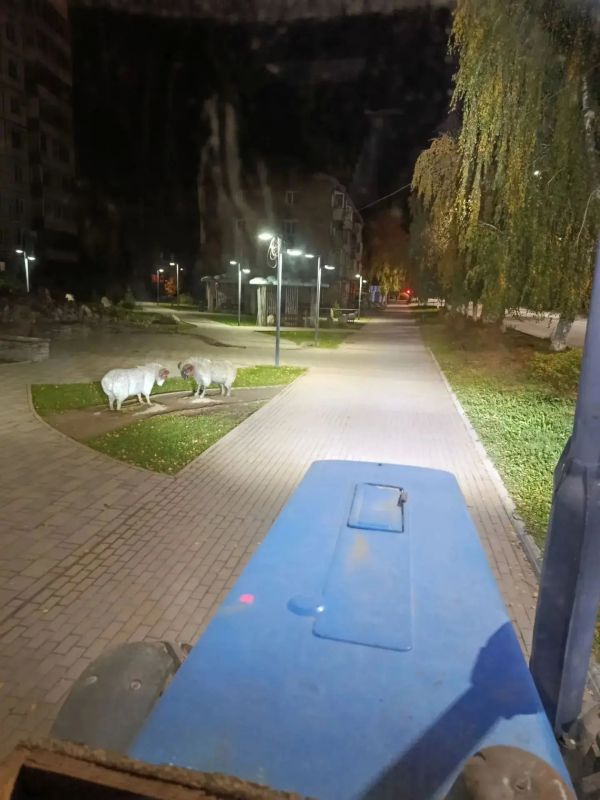 Завершаем осенние дорожные работы, постепенно готовим технику к зиме Завершаем осенние дорожные работы, постепенно готовим технику к зиме