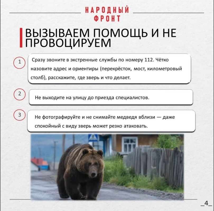 Как уберечься от медведейшатунов Как уберечься от медведейшатунов