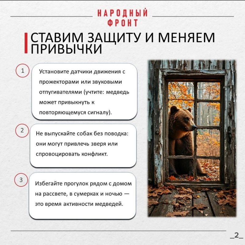 Как уберечься от медведейшатунов Как уберечься от медведейшатунов