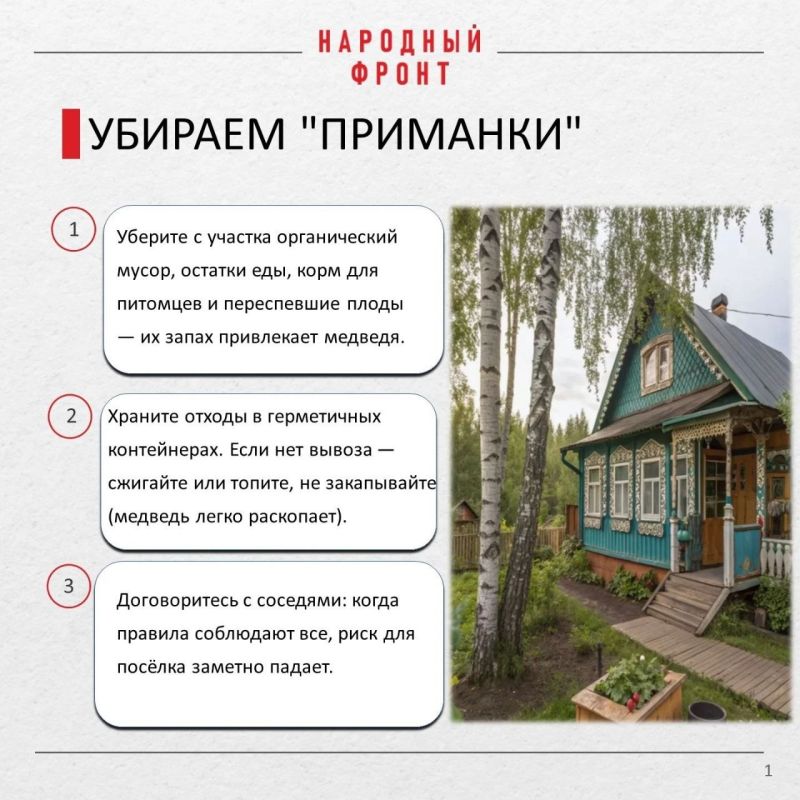 Как уберечься от медведейшатунов Как уберечься от медведейшатунов