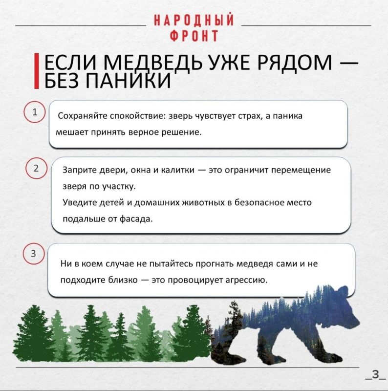 Как уберечься от медведейшатунов Как уберечься от медведейшатунов