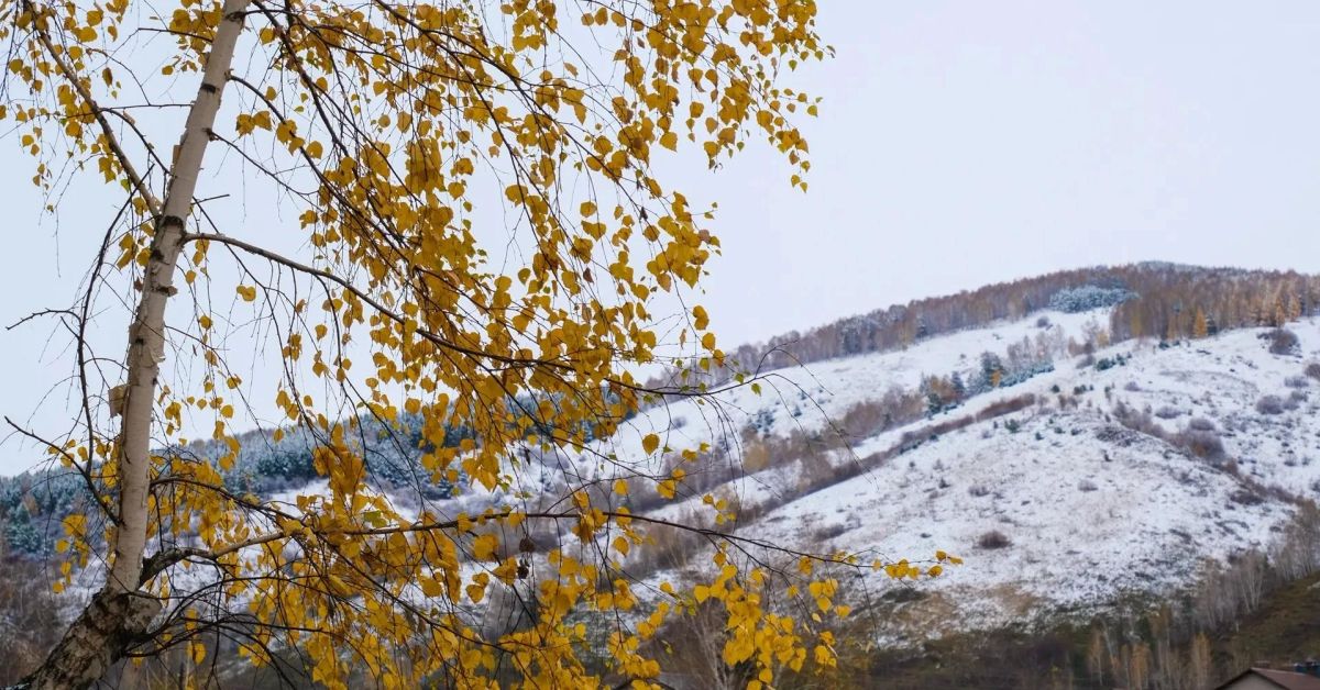 Погода в Горно-Алтайске на неделю Погода в Горно-Алтайске на неделю