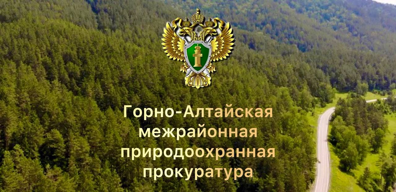 «Горно-Алтайская межрайонная природоохранная прокуратура выявила нарушения законодательства об особо охраняемых природных территориях»