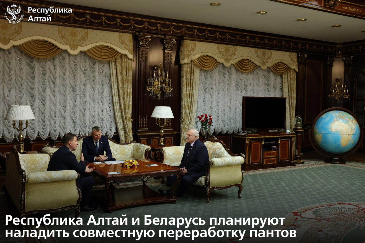 Еще одна тема рабочей встречи главы Республики Алтай Андрея Турчака и Президента Республики Беларусь Александра Лукашенко – мараловодство и пантовая продукция